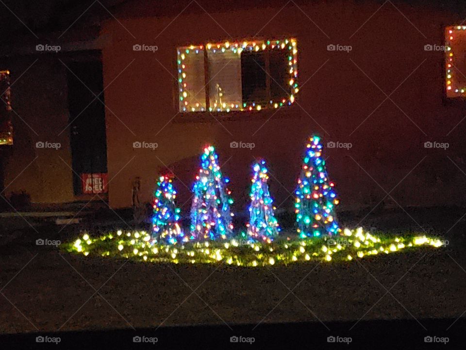 four trees all lit up