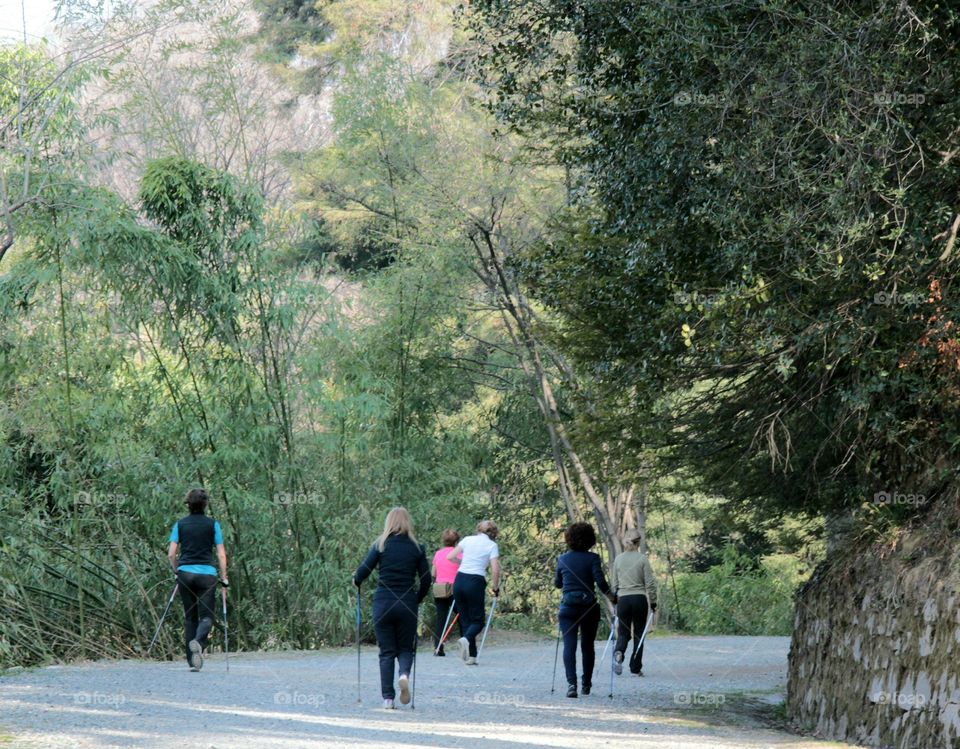 Nordic walking in the morning in a park