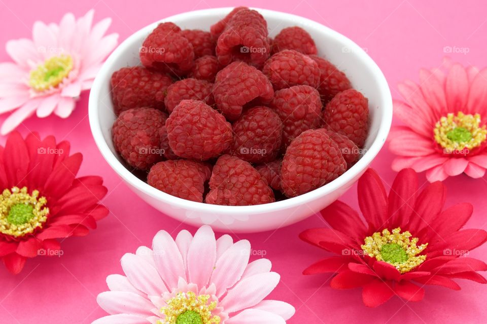 Fruits! - Raspberries and gerbera daisies in various shades of pink in a pink background