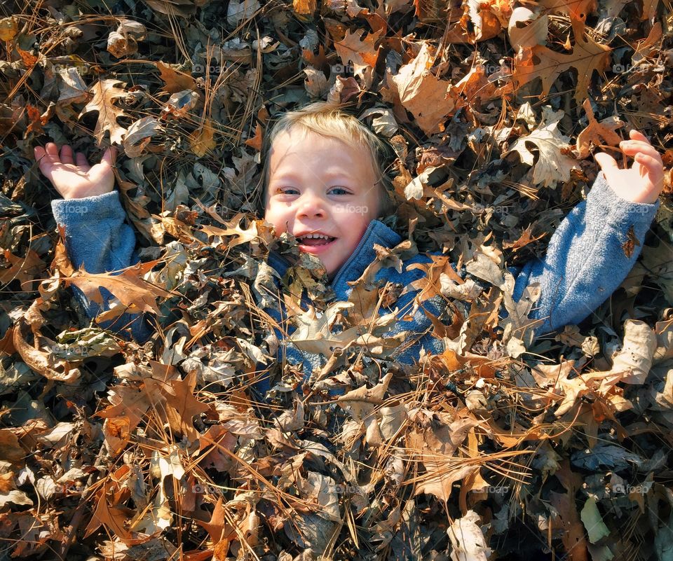 Young child hiding in autumn leaves
