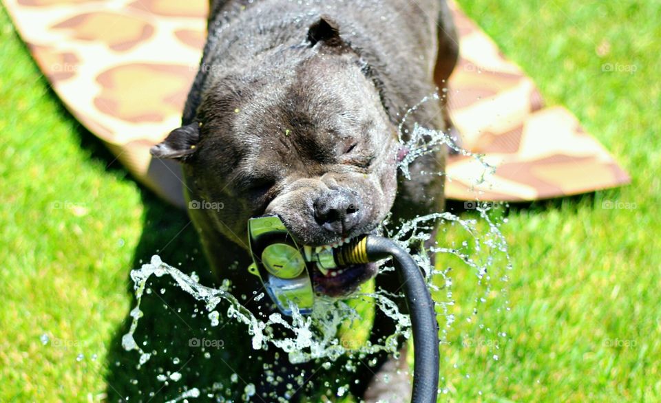 it's a love/hate relationship