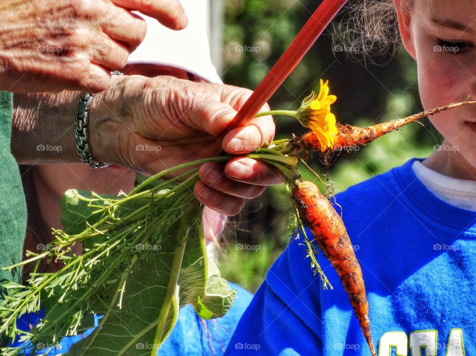 Organic Gardening
