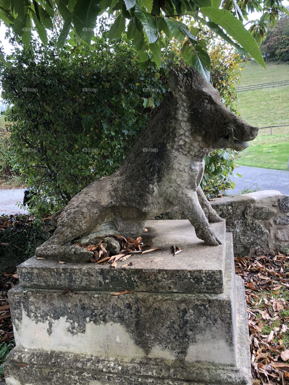 I rather like this statue of an animal, but l don’t have a clue, but the one thing we do know is that it’s Autumn because this creature is sitting under a bed of Autumn leaves.