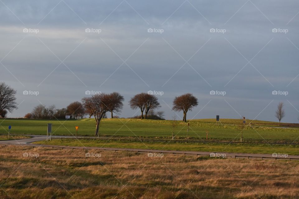 Landscape, No Person, Tree, Grass, Agriculture