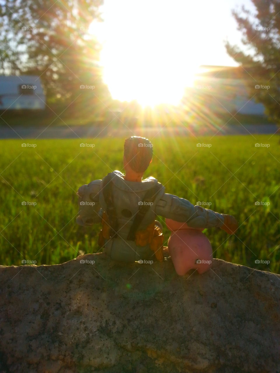 watching the sunset. Just a toy soldier and his pig watching the sunset