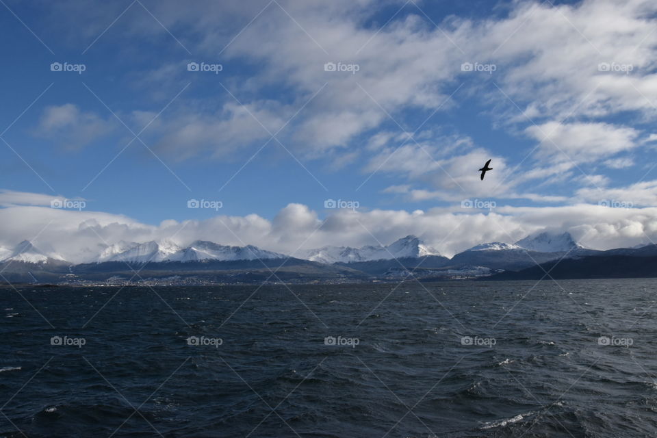 beagle channel