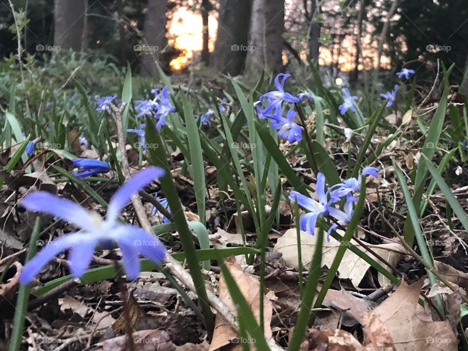 Springing into spring 