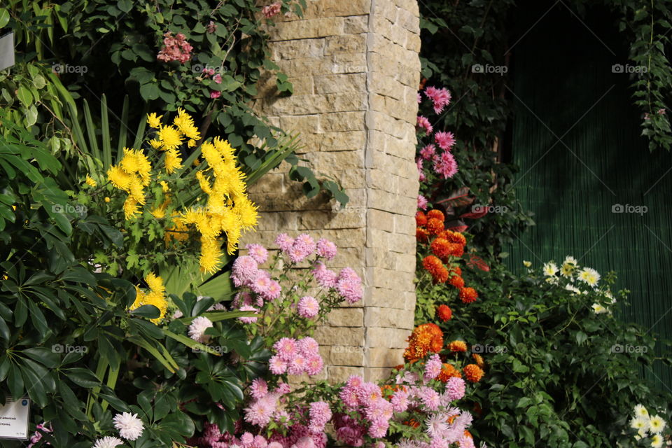 concrete pilar and multiple species of flowers