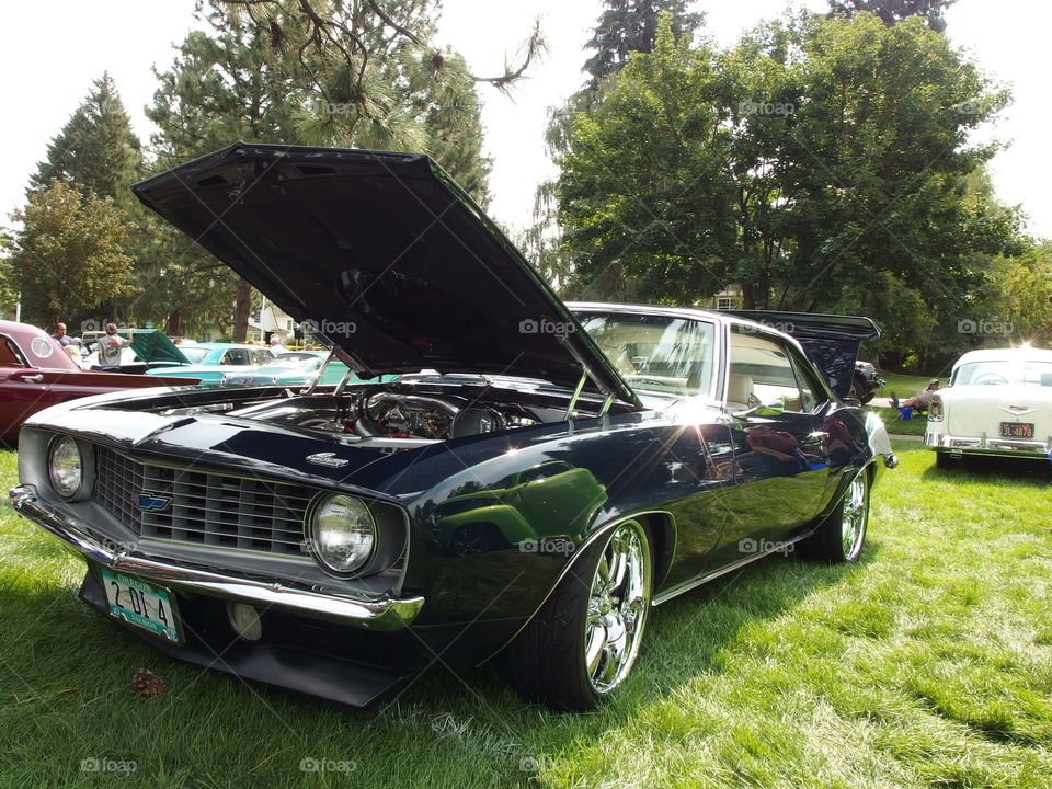 Summer Classic Car Show