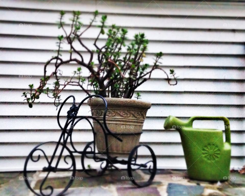 Bicycle planter