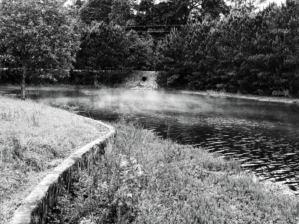 Morning fog over pond