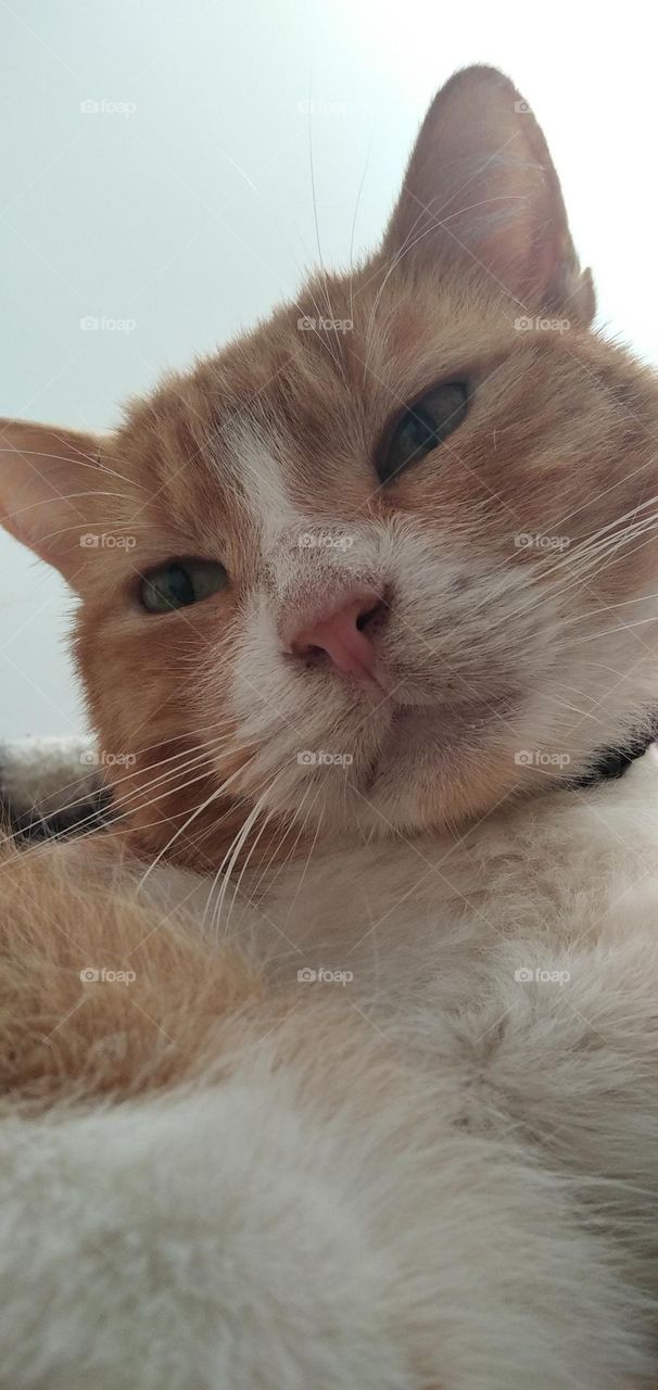 the cutest face in the world