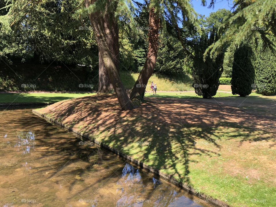 This tree throws out invitations to this beautiful lake, no wonder our future King of England talks to plants haha