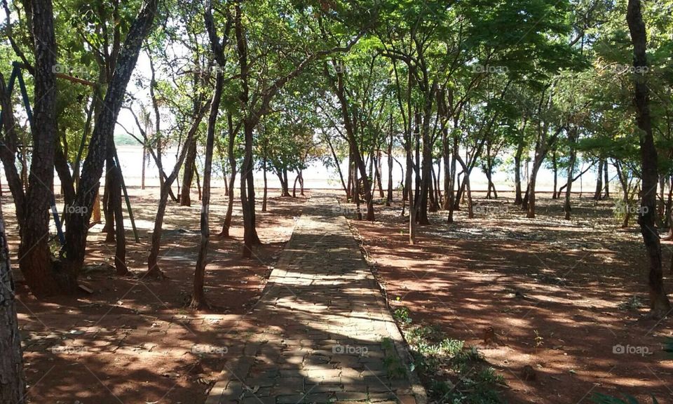 Beira da Represa. Small stone path, located in " Morada Nova de Minas , Brazil ", leads to a beach.