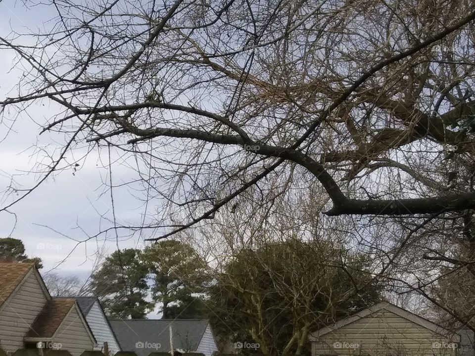 cloudy day in the neighborhood