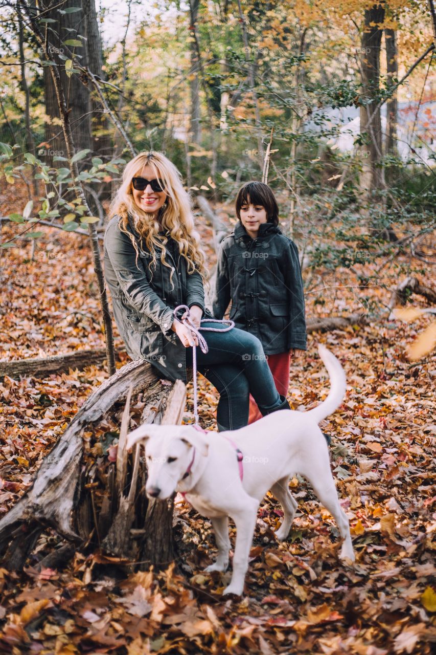 Family walking a dog 