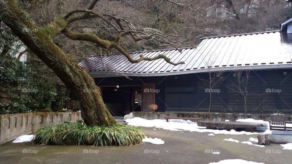 Hakone Onsen