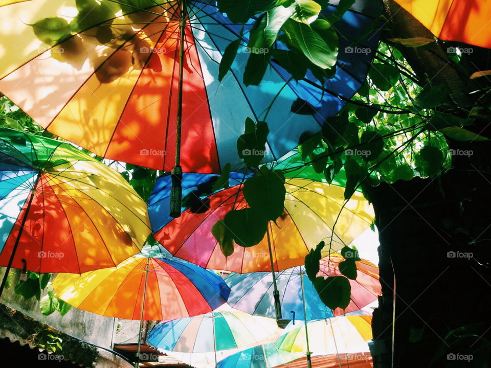 "Umbrellas Roof". at the Umbrella Street Malaysia