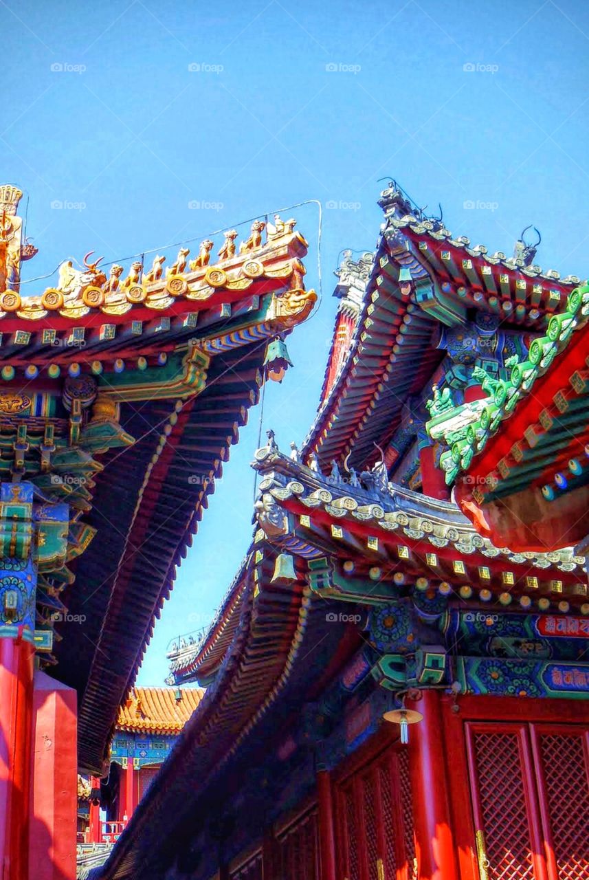 The roofs and colors of China - Beautifully decorated roofs of Lama temple in Beijing, China