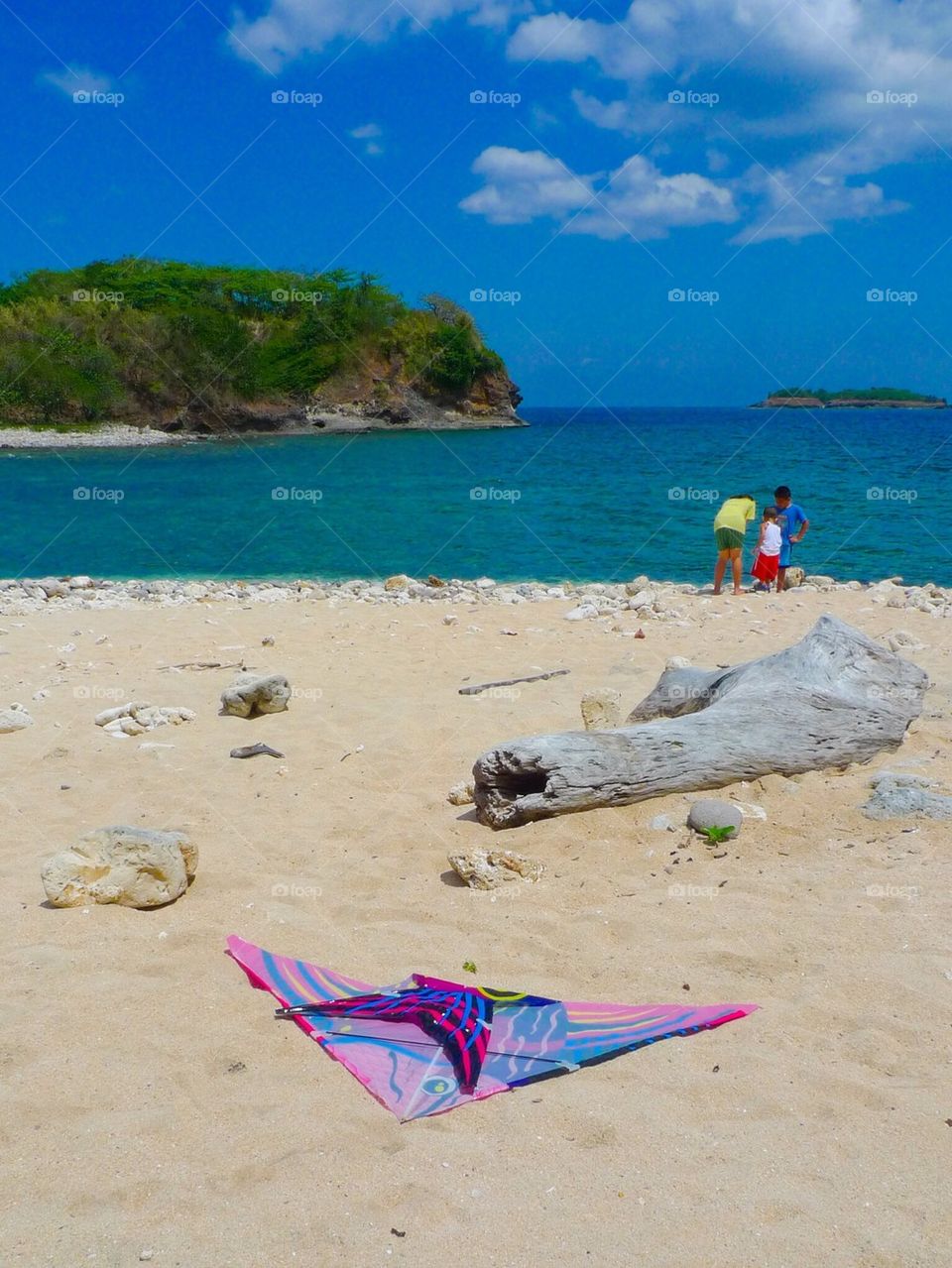 A fallen kite at the beach