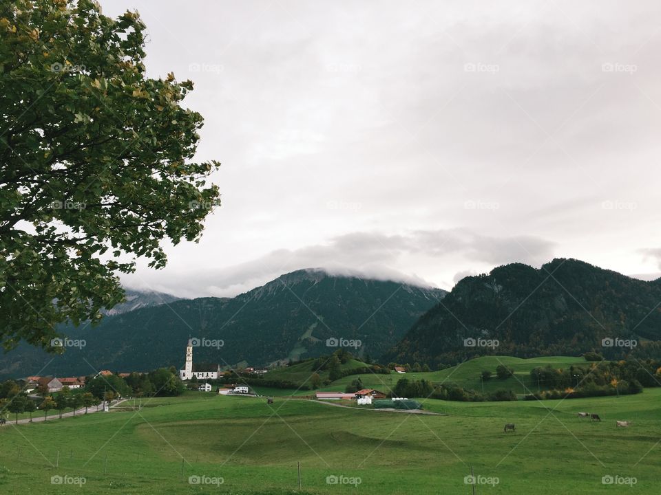 No Person, Landscape, Tree, Travel, Golf