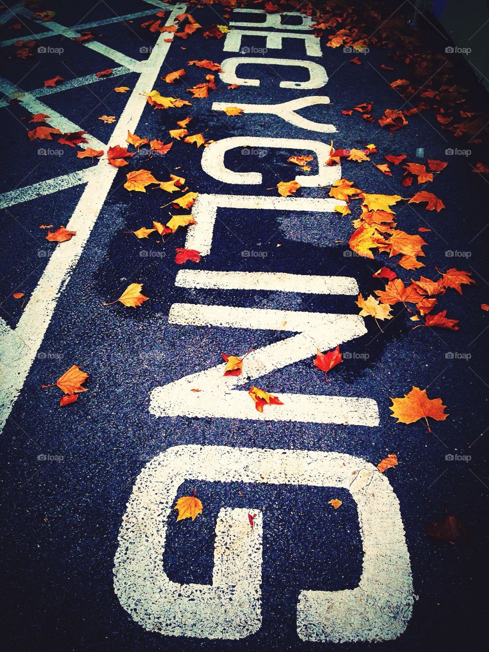 Recycling white floor sign on pavement with scattered autumn leaves 