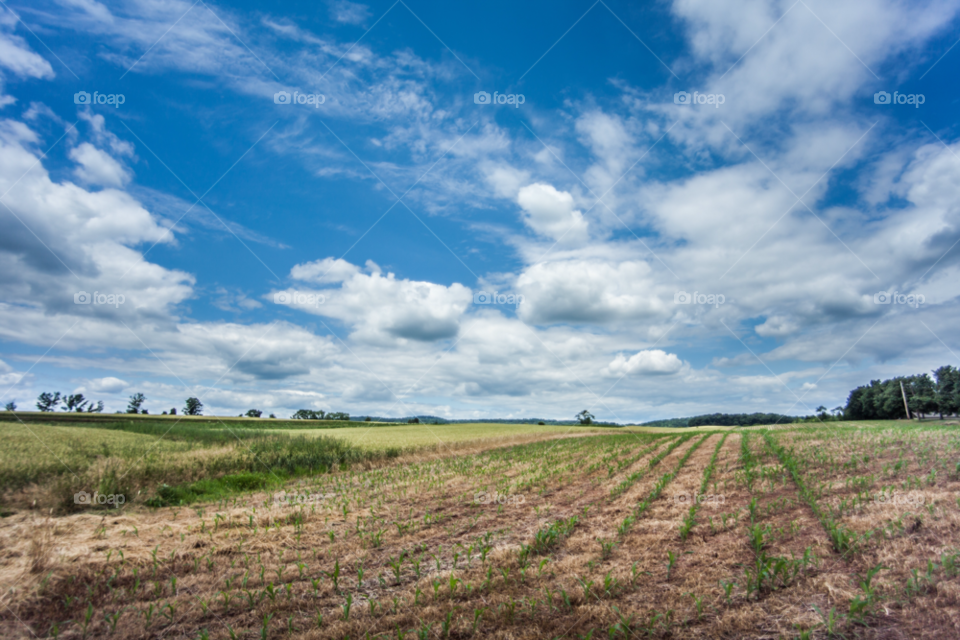 landscape sky field farmland by stockelements