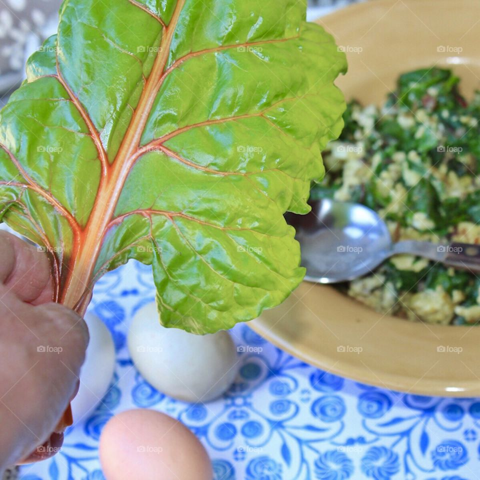Harvest from the garden and eat good, Swiss Chard 