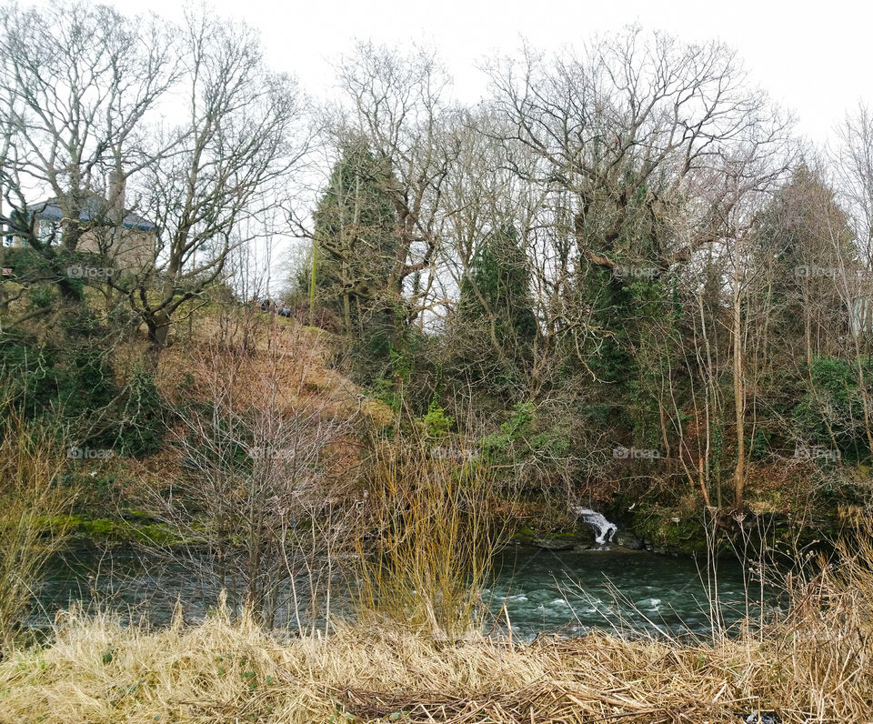 Where a stream meets a river