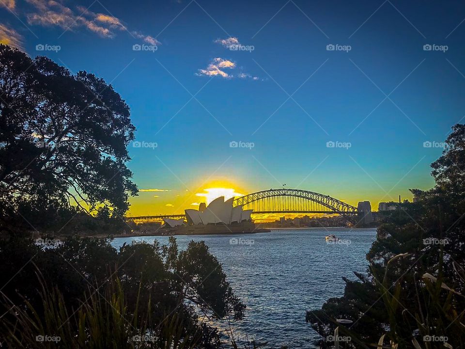 Harbour Bridge - Sydney - NSW