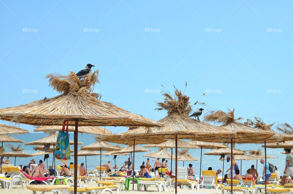 On the beach, nice summer day