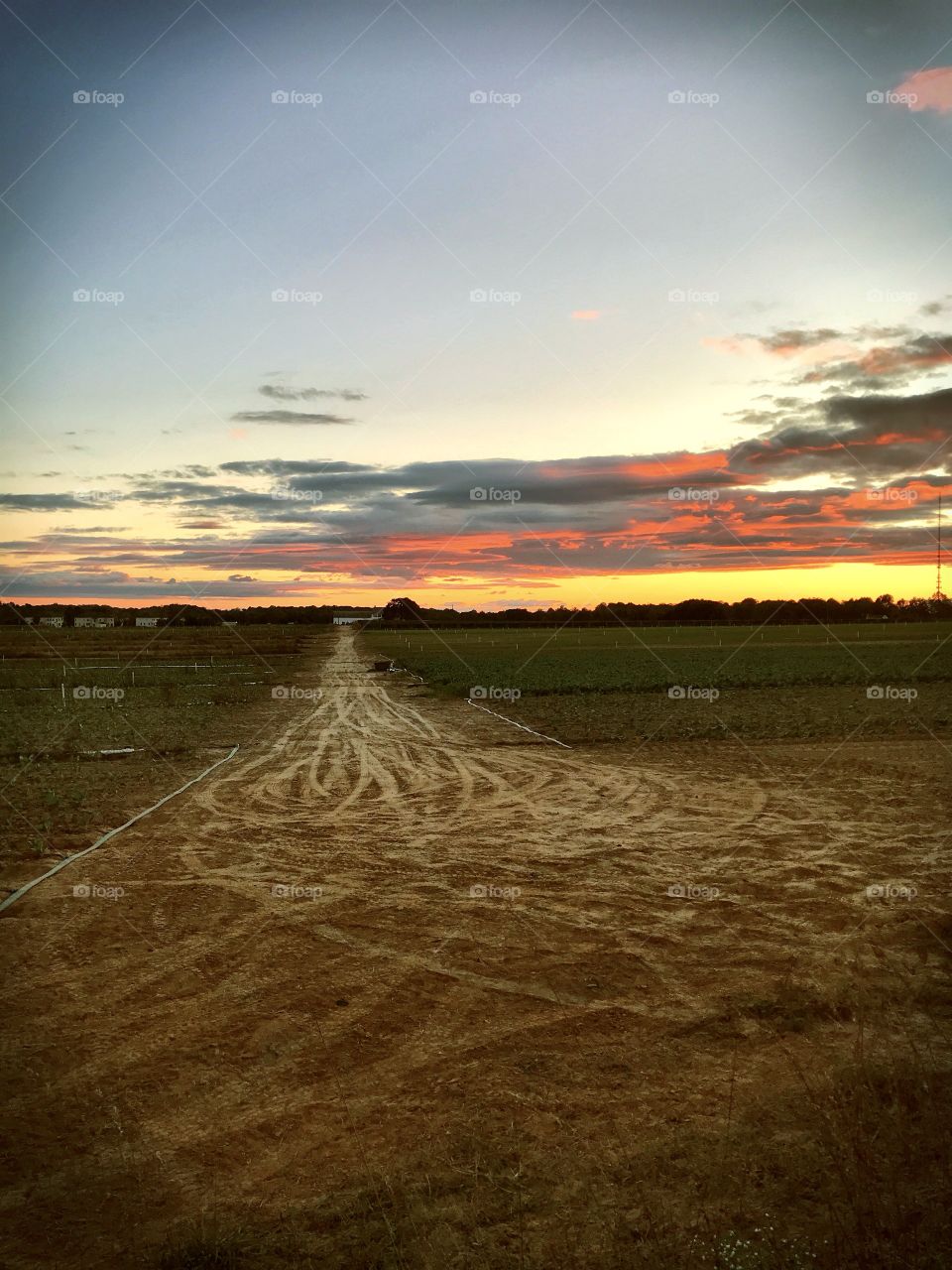 A farm road at sunset
