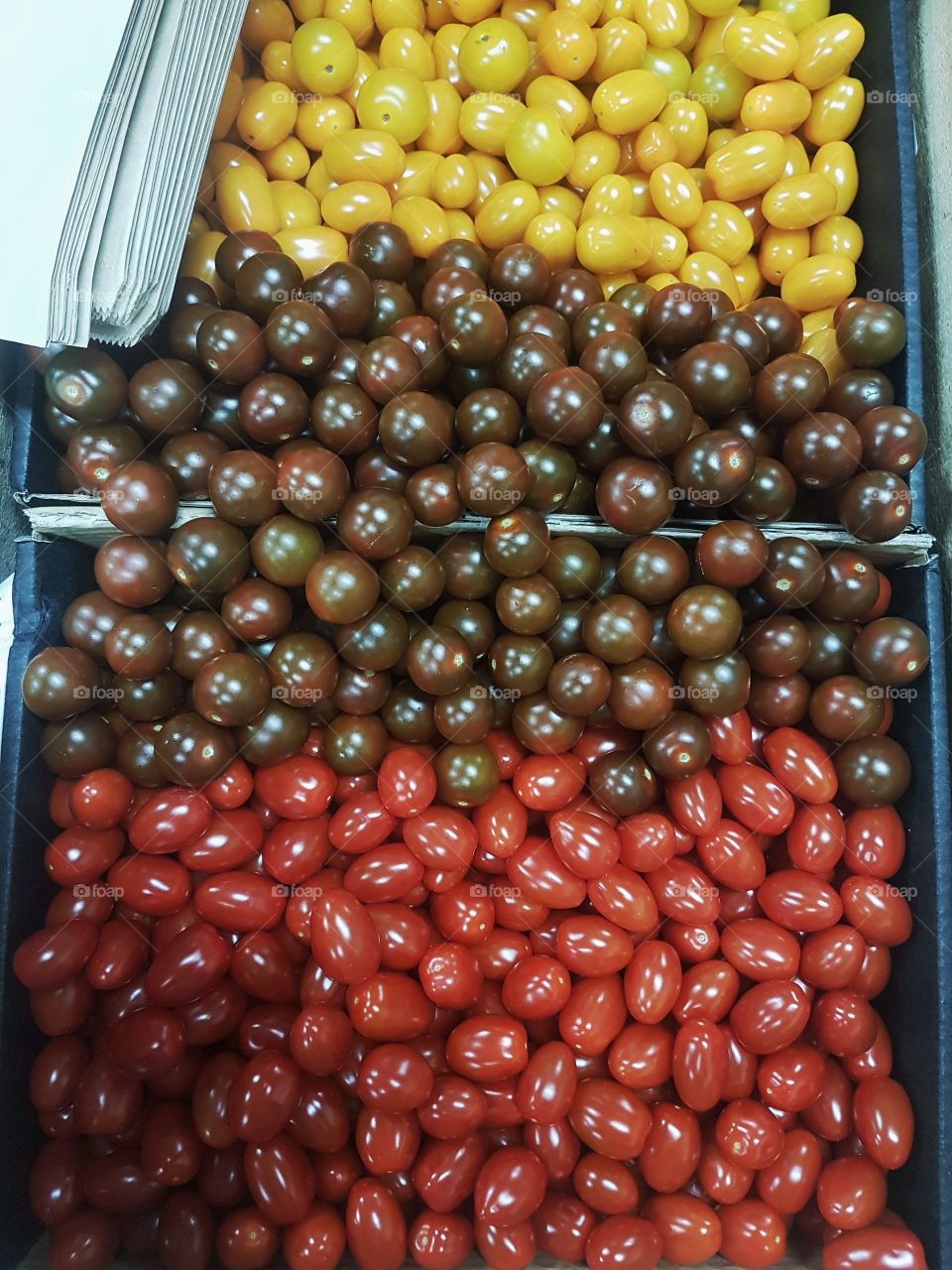 Fresh Cherry small tomatoes colours market stall