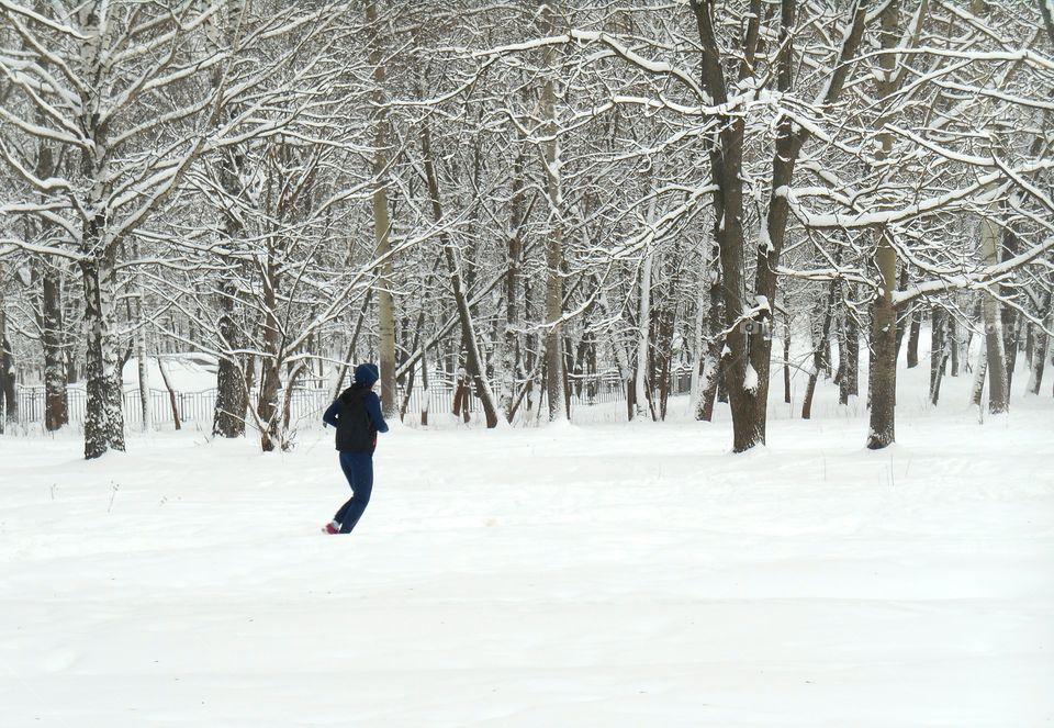 Snow, Winter, Cold, Frost, Ice