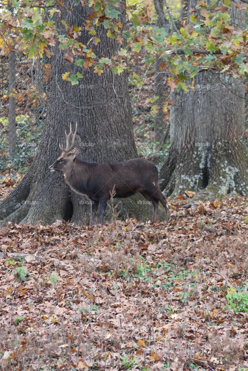 Difficult Roads lead to Beautiful Destinations