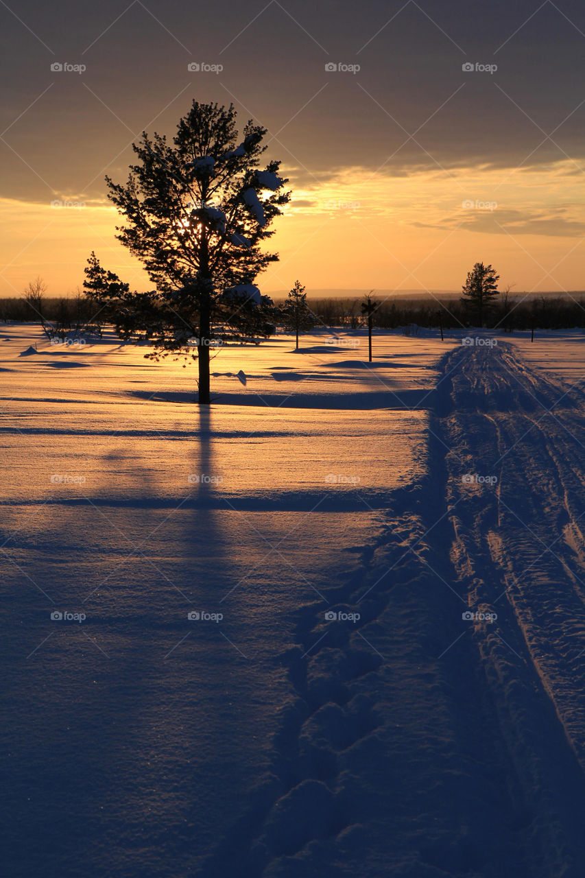 Sunset through a tree in the snow with lots of shadows, Finland