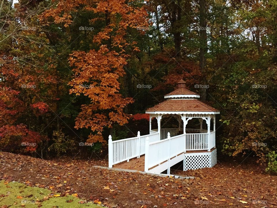 Gazebo on s trail 