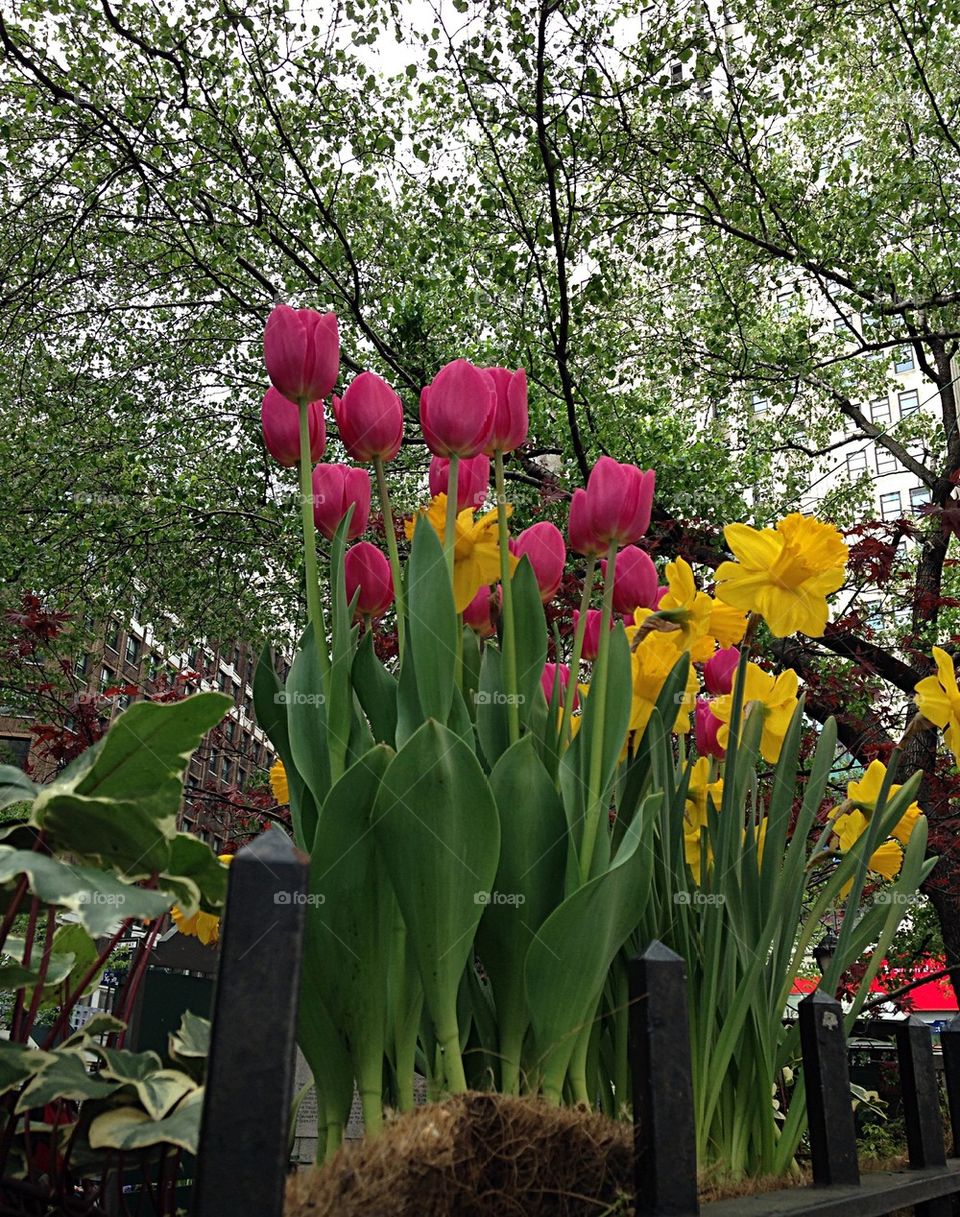 Spring bouquet