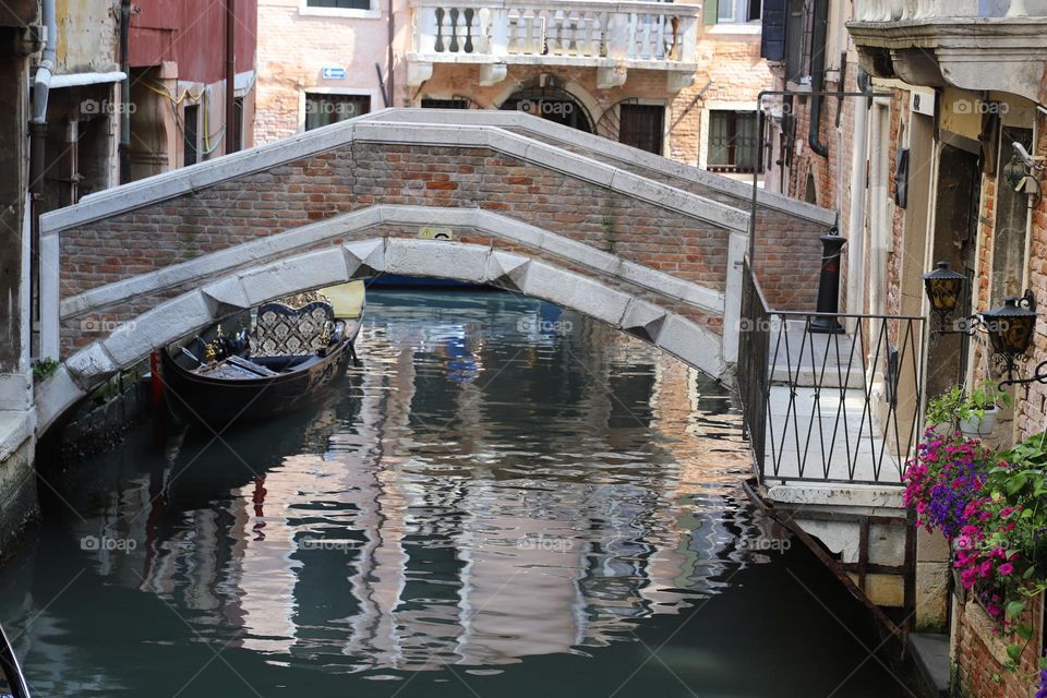 Bridge over the water