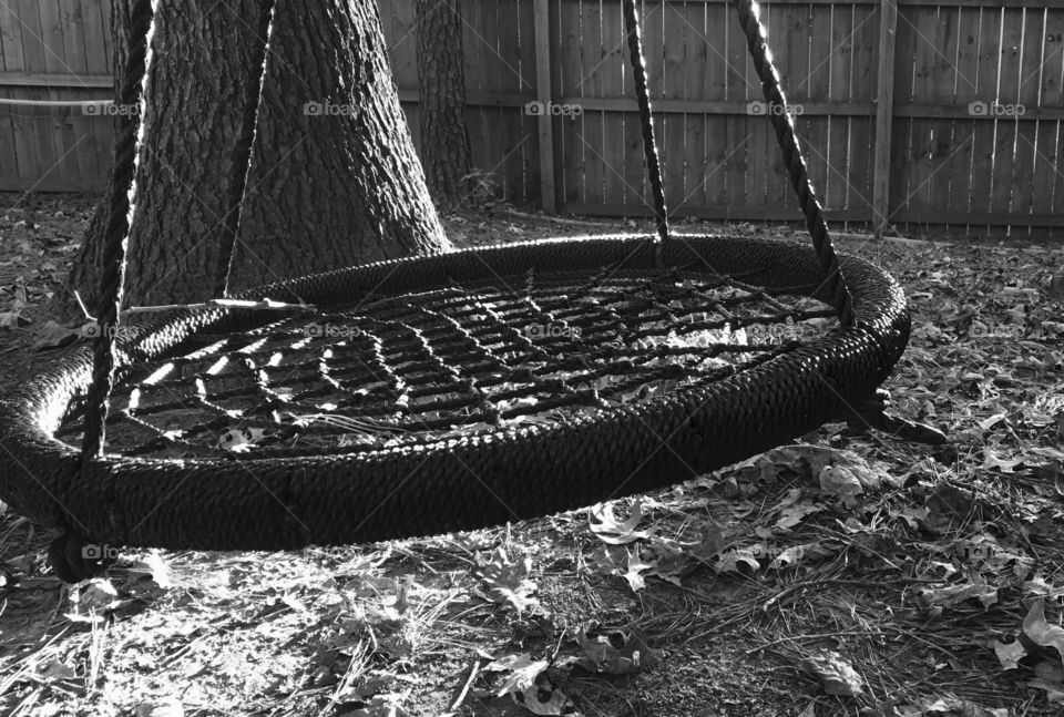 Backyard tree swing