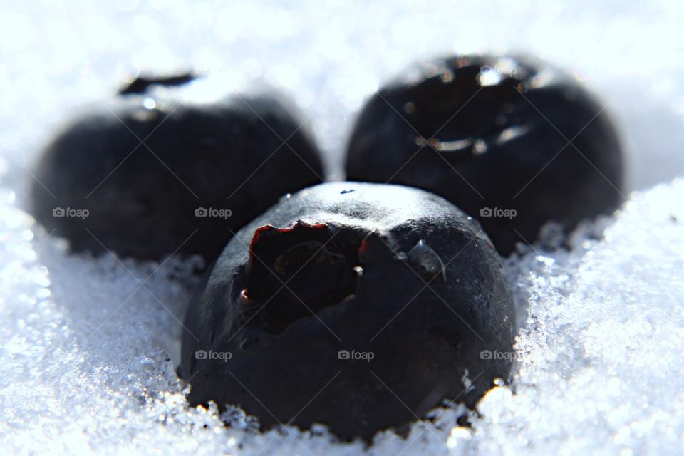 Cold Blueberries 