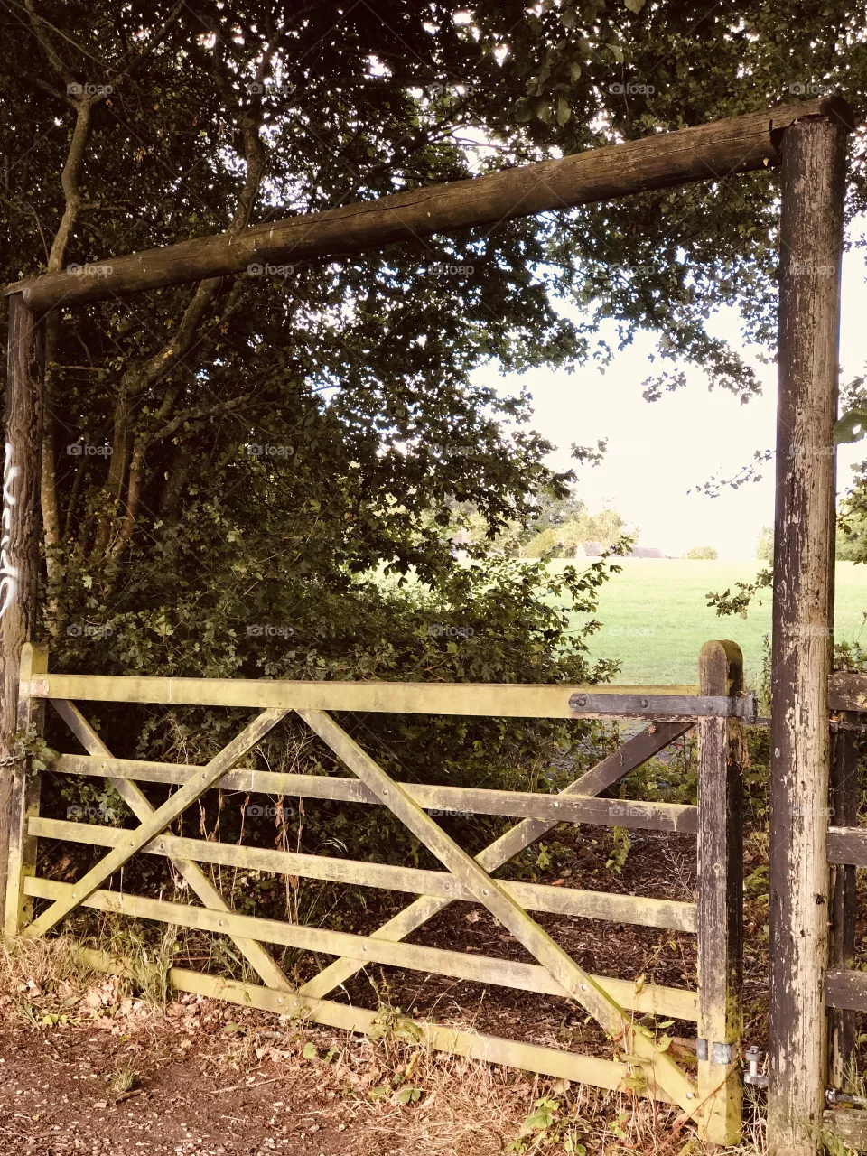 wood gate