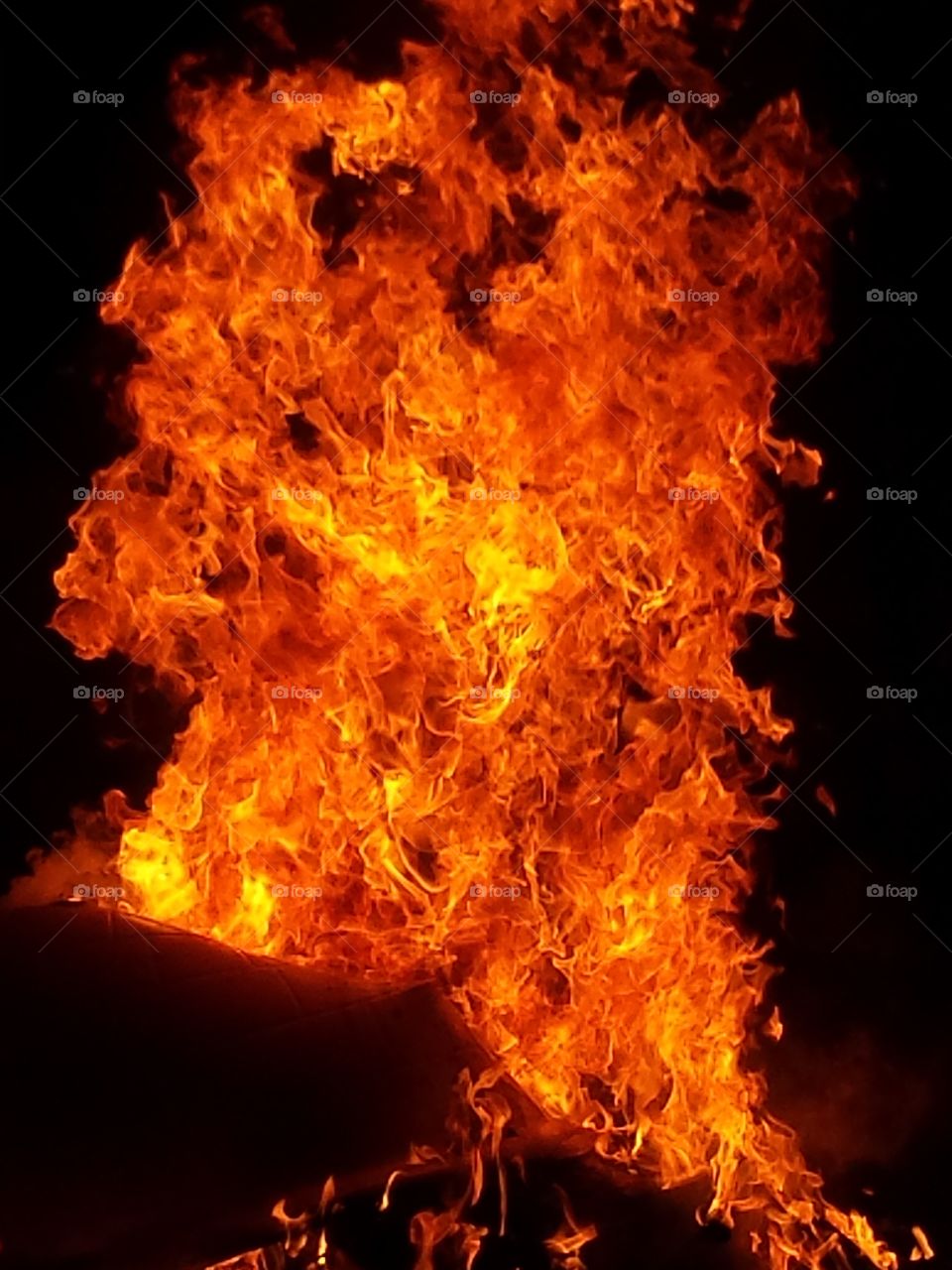 Fire. burning the dog house