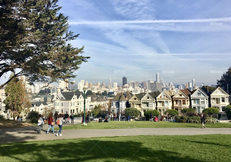 Picture perfect painted ladies contrasted with the towering downtown skyline of San Francisco and it’s no wonder why people want to live here 