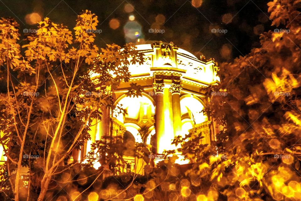 Nighttime at the palace of fine arts in San Francisco California looking through the trees as the beaux-arts style domed building is illuminated by light in a bokeh style 