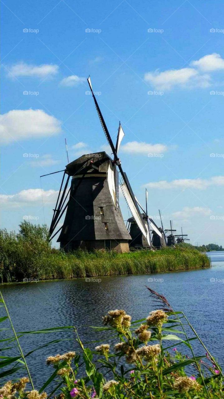 windmill