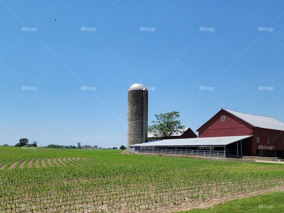 pennsylvania farm silo and barn on open field