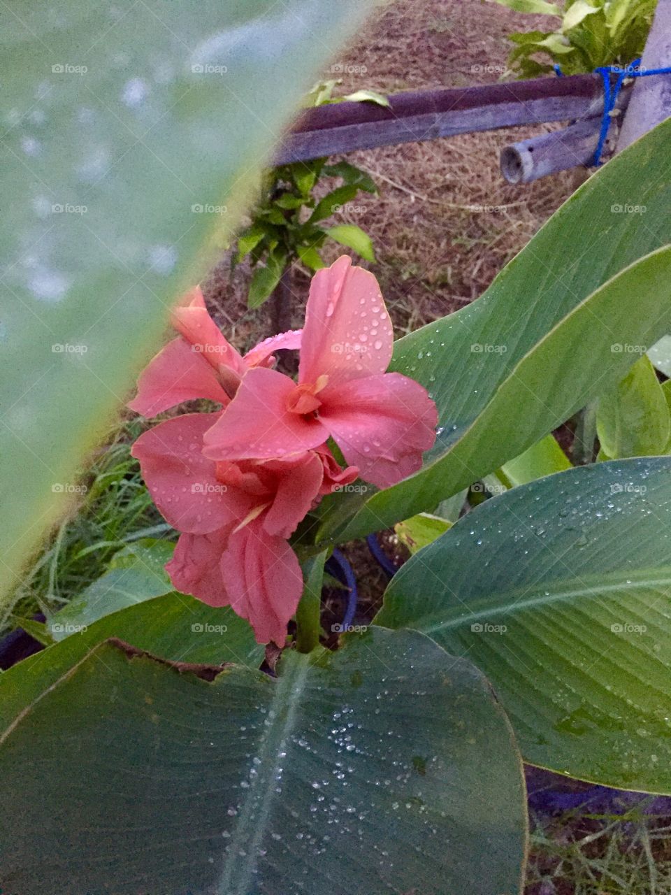 Sometimes the little things in life are more than enough.