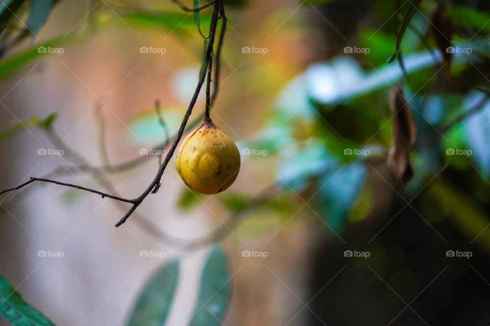 Editor’s choice. Photo of the week 