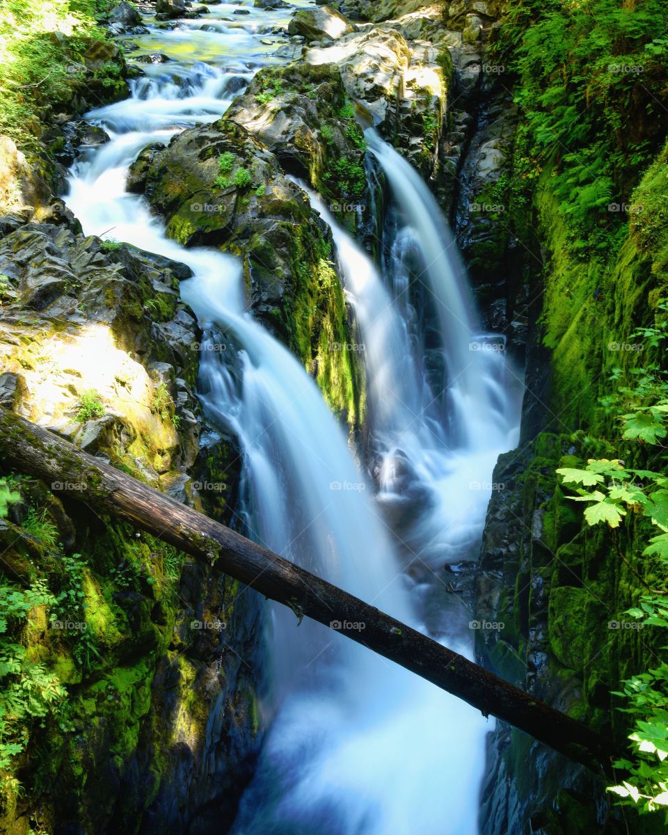 Waterfall, Water, Stream, Wood, Moss